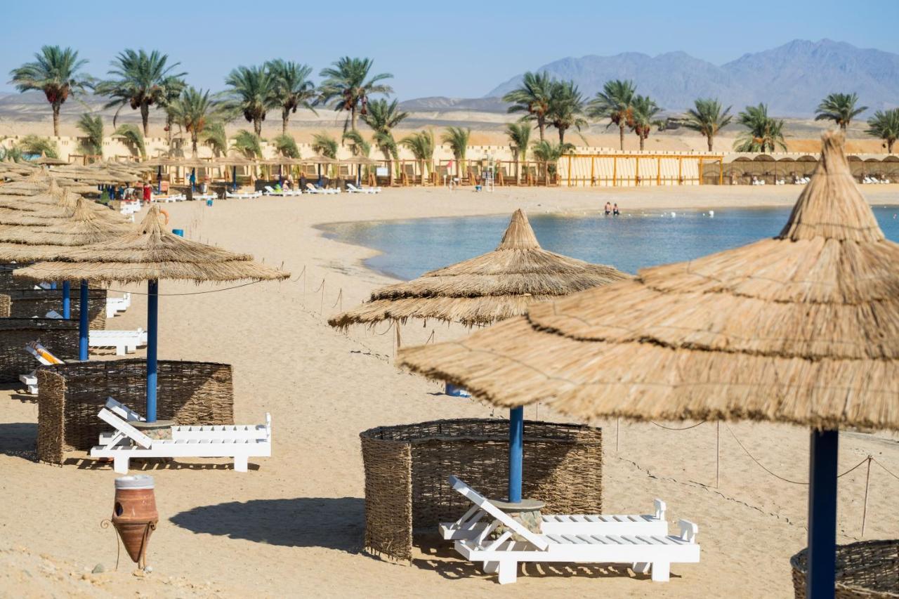 Coral Sun Beach (Adults Only) Safaga Eksteriør billede