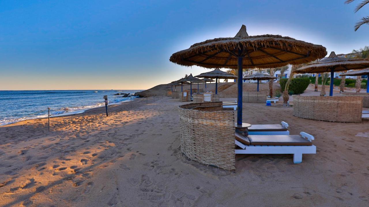 Coral Sun Beach (Adults Only) Safaga Eksteriør billede