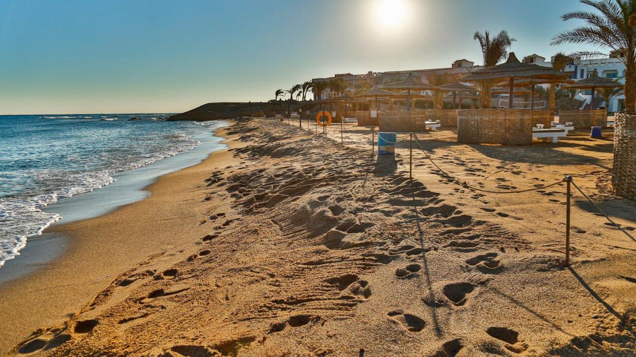 Coral Sun Beach (Adults Only) Safaga Eksteriør billede